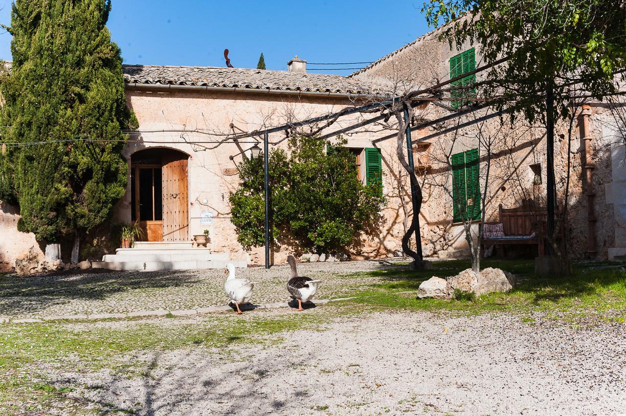 Вилла Sa Casa Rotja Синеу Экстерьер фото